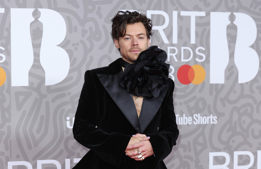 Harry Styles e Zoë Kravitz “hanno una vera connessione”